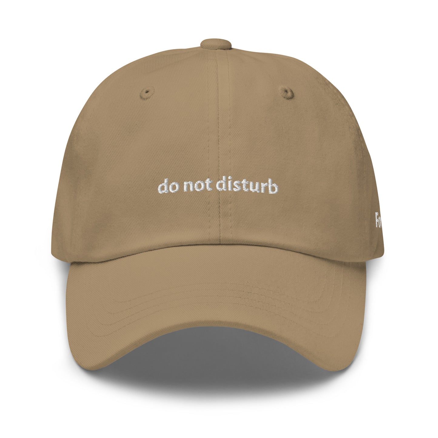 do not disturb Dad Hat