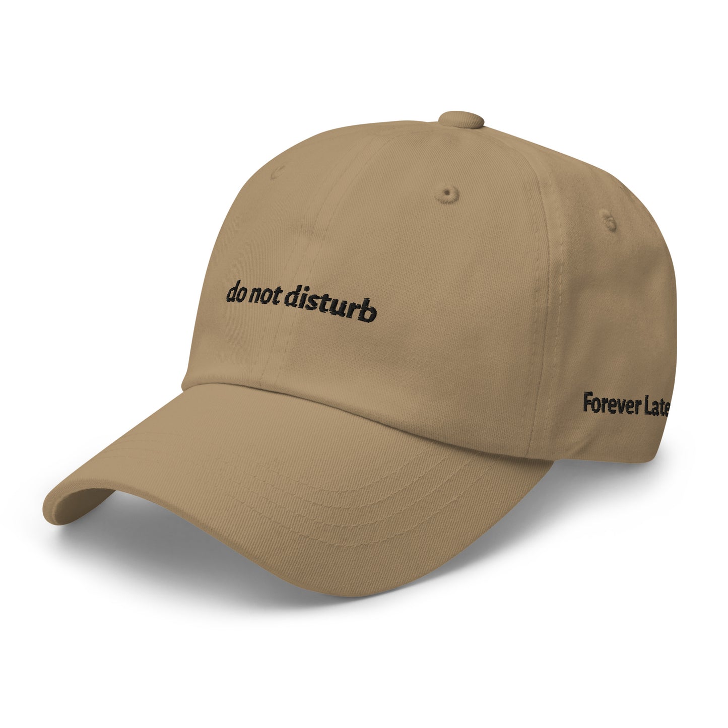do not disturb Dad Hat