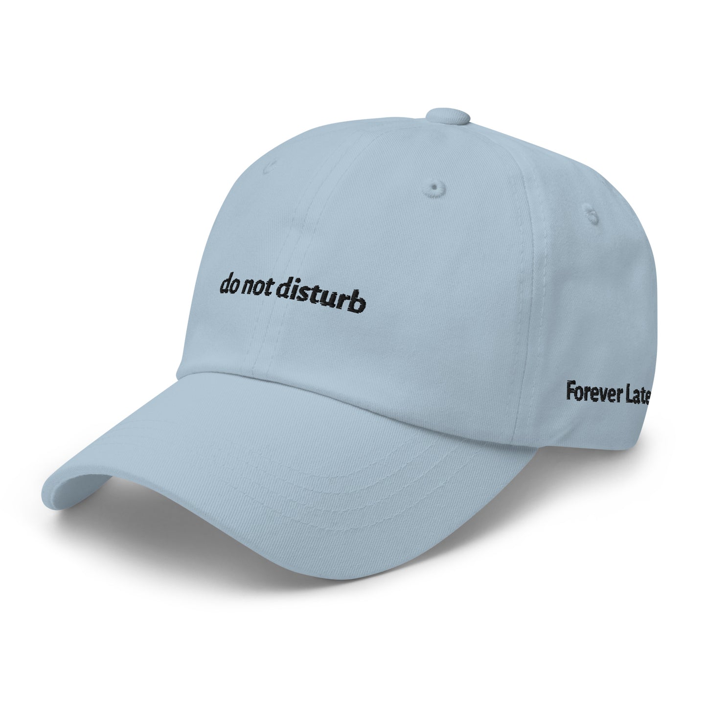 do not disturb Dad Hat