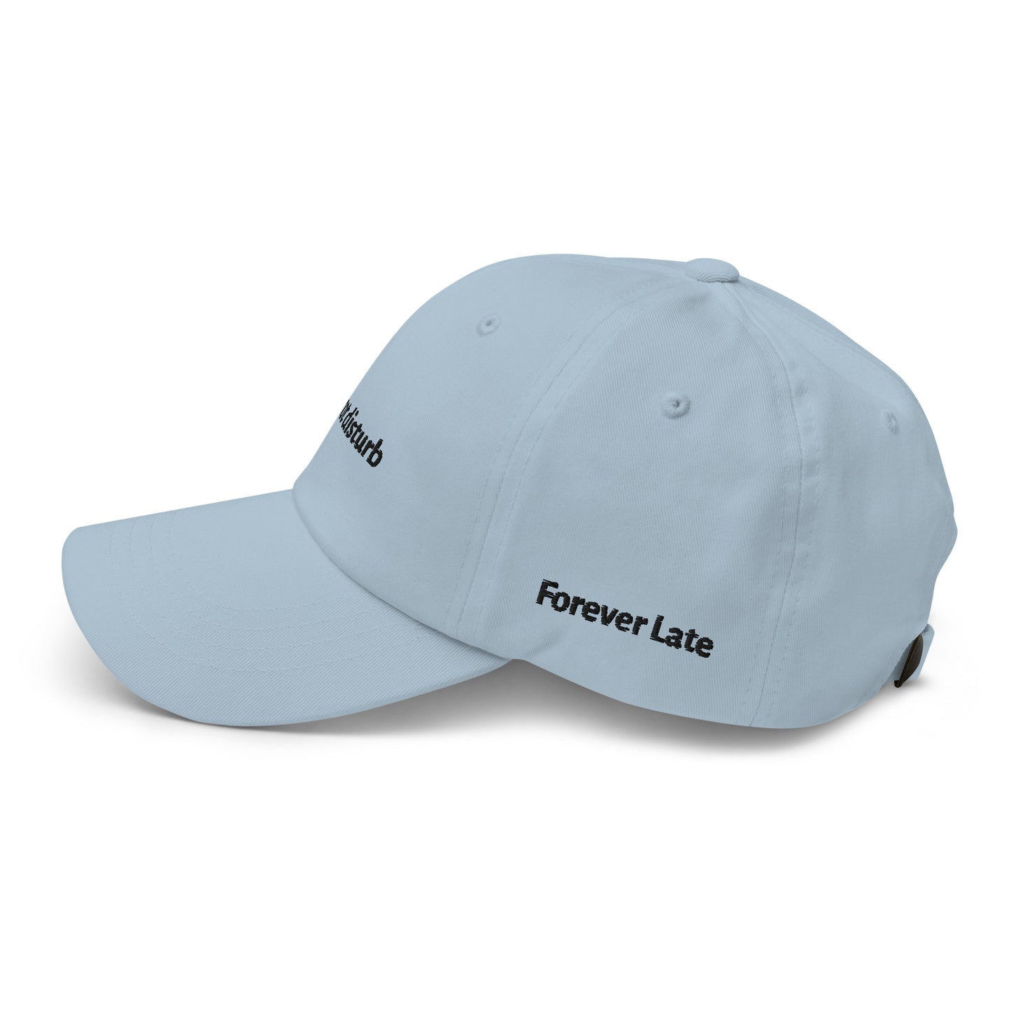 do not disturb Dad Hat