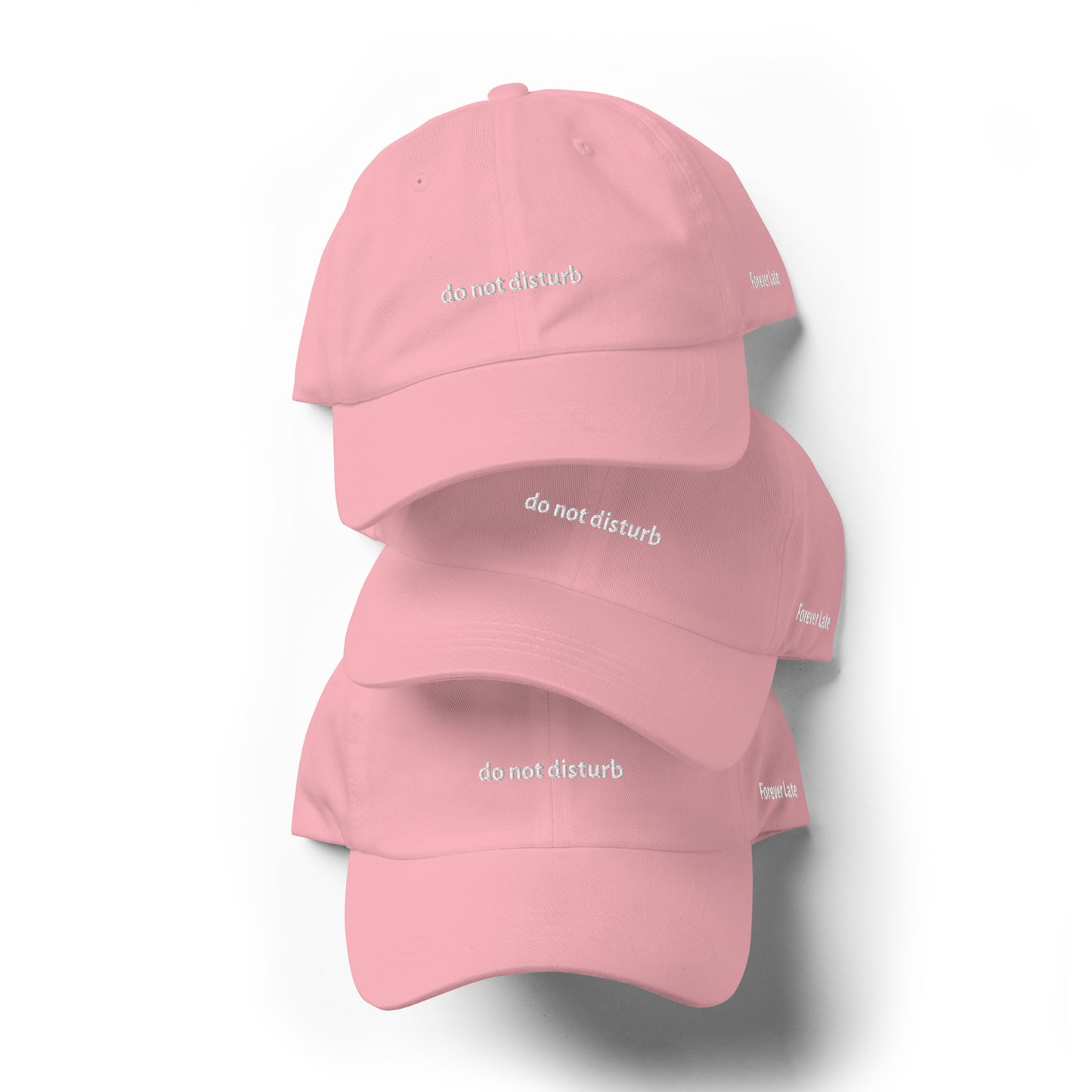 do not disturb Dad Hat