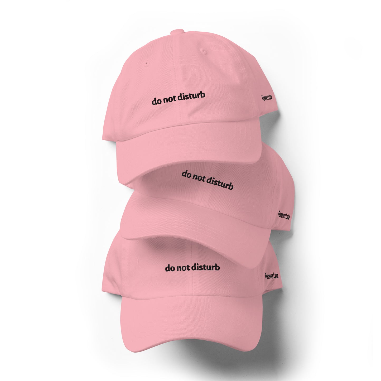 do not disturb Dad Hat