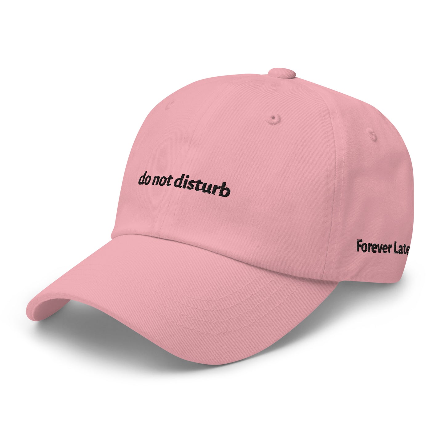 do not disturb Dad Hat