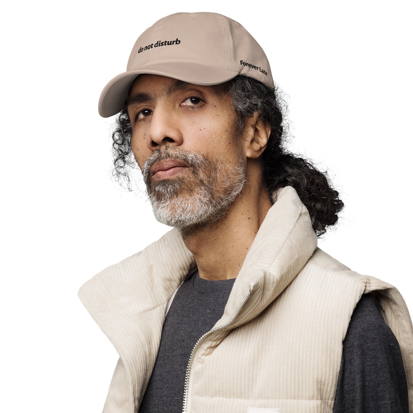 do not disturb Dad Hat