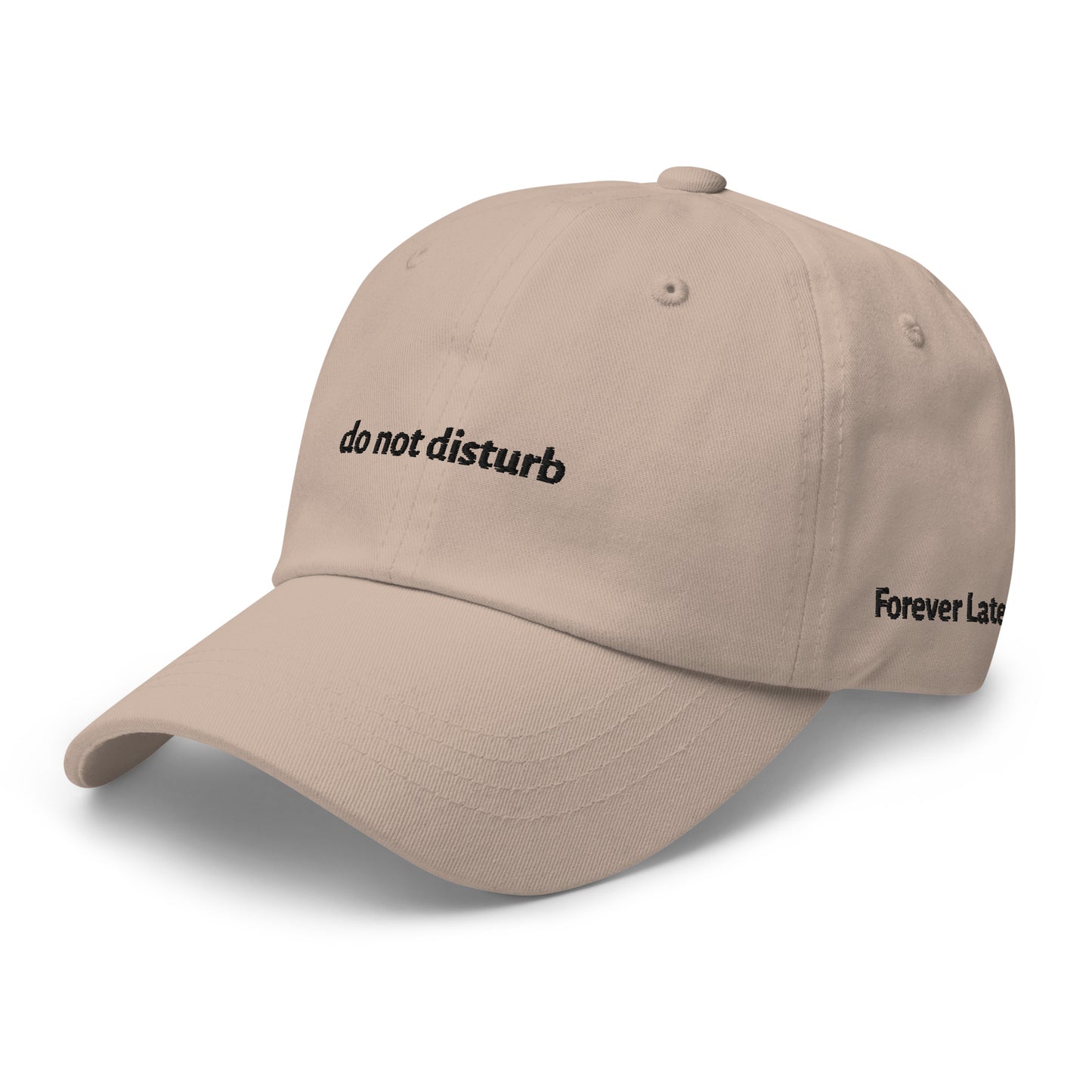 do not disturb Dad Hat