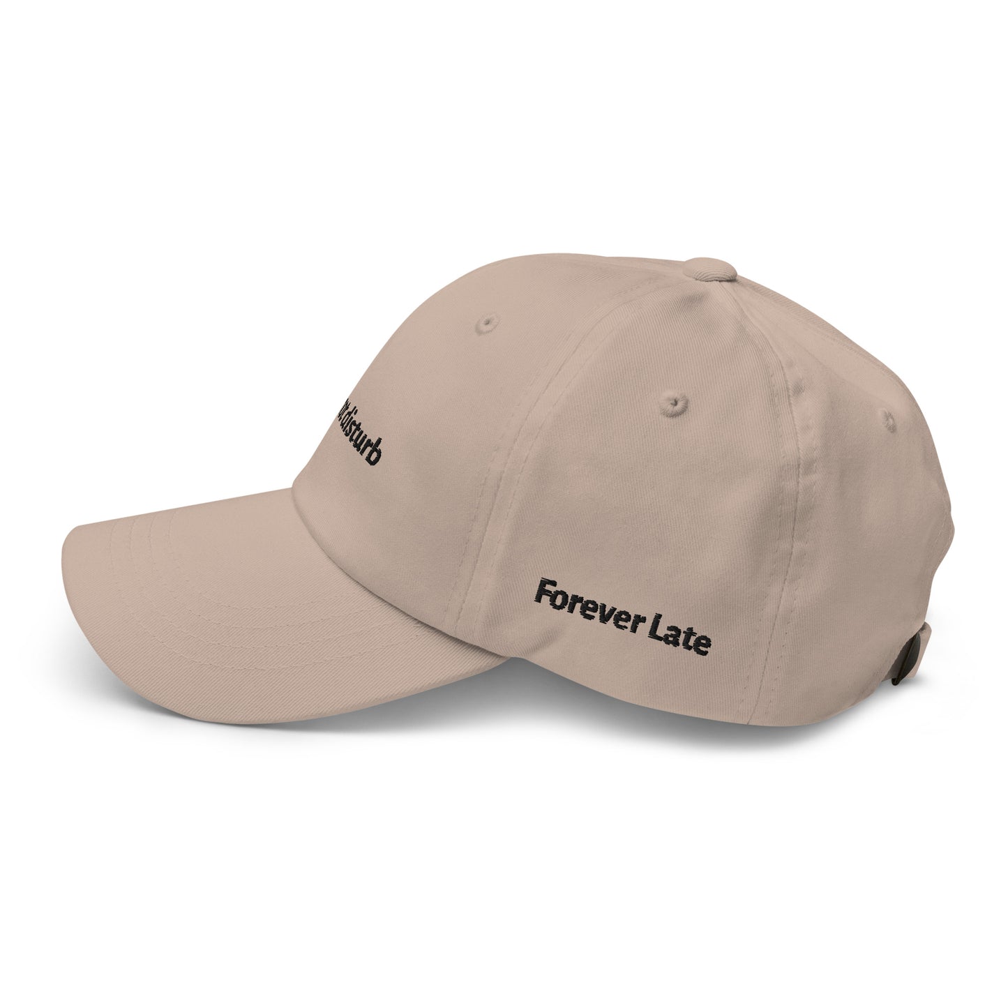 do not disturb Dad Hat