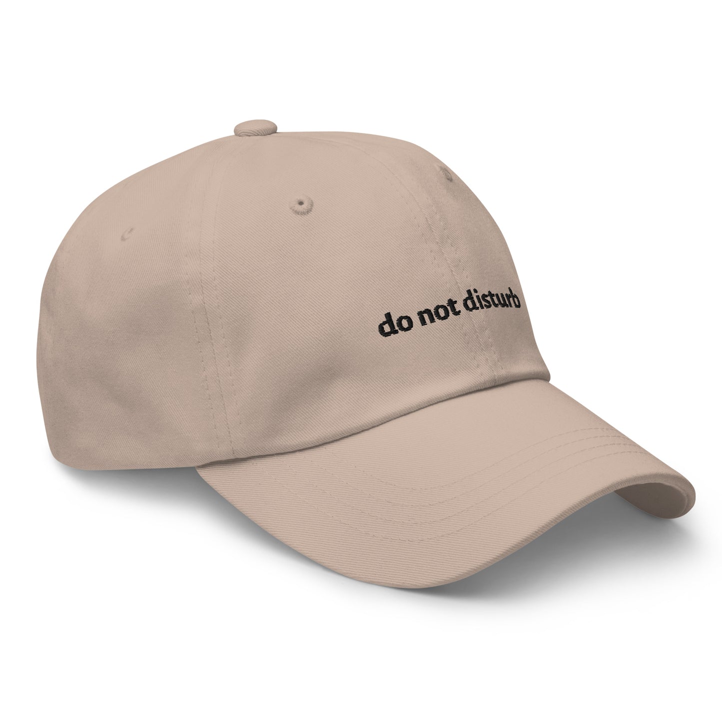 do not disturb Dad Hat