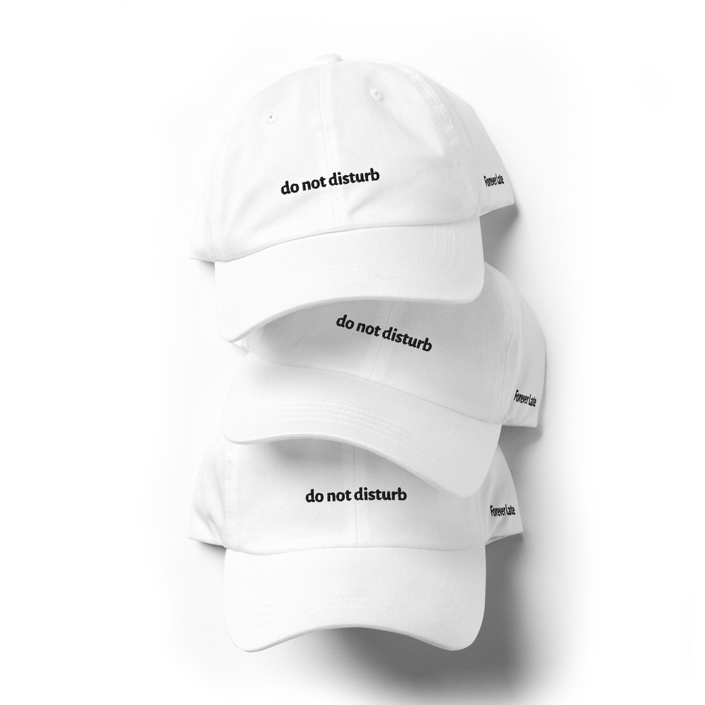 do not disturb Dad Hat