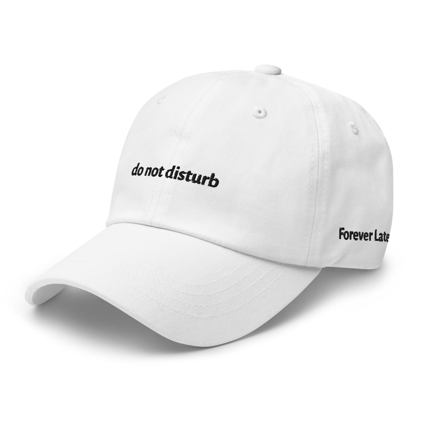 do not disturb Dad Hat