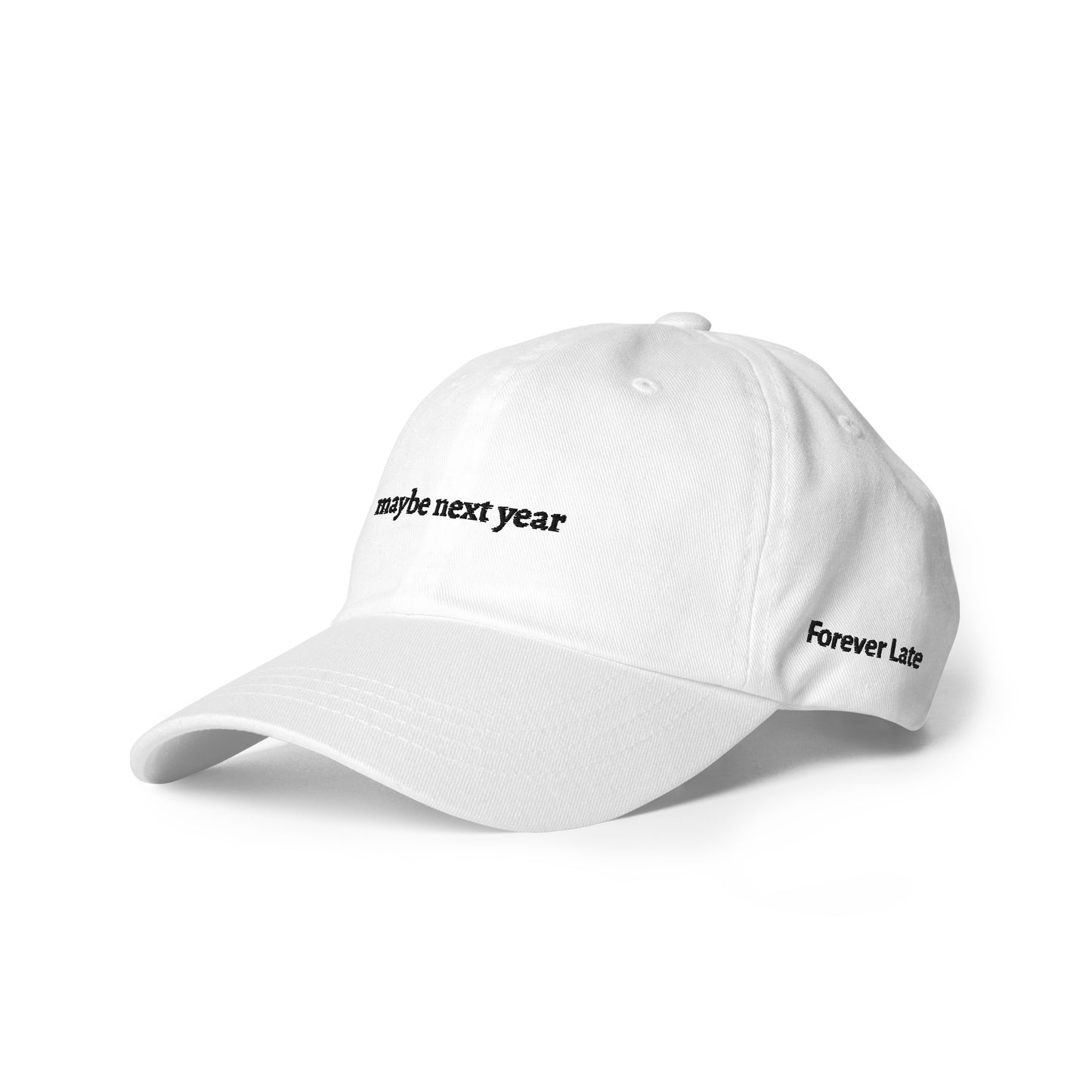 maybe next year Dad Hat