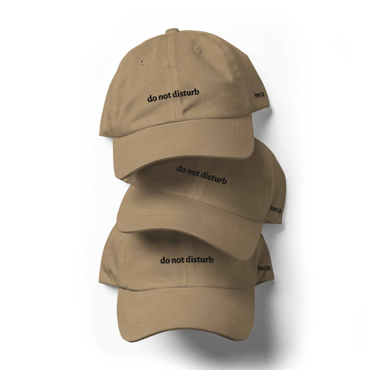 do not disturb Dad Hat