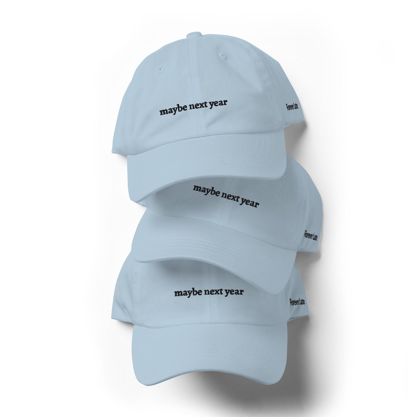 maybe next year Dad Hat