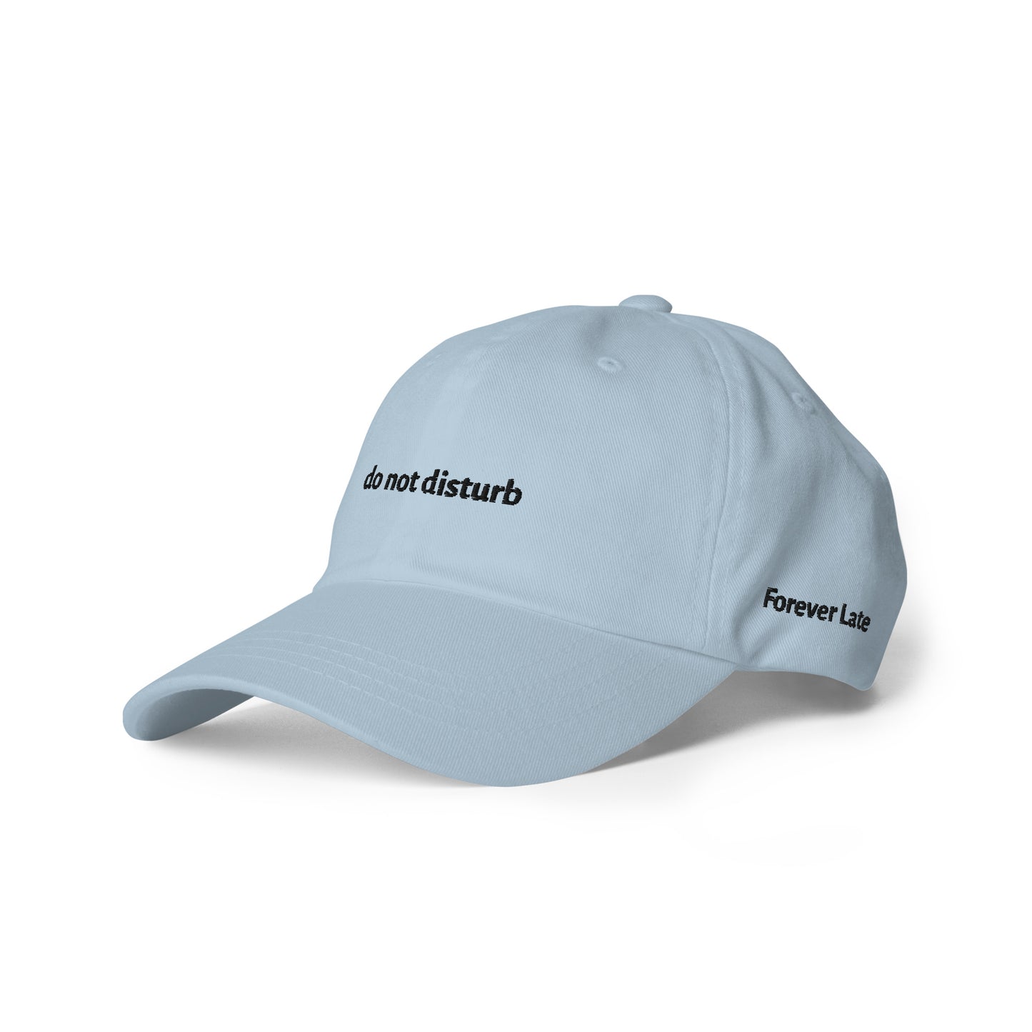 do not disturb Dad Hat