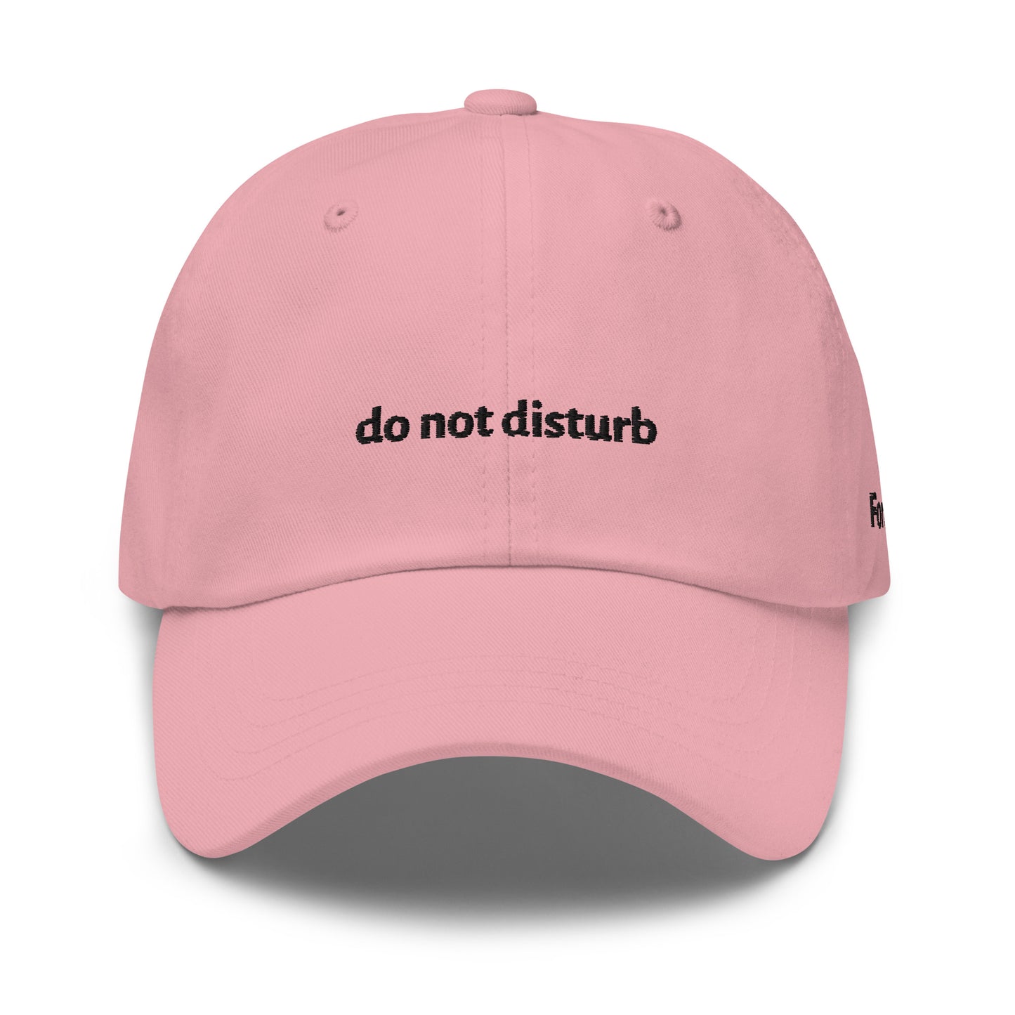 do not disturb Dad Hat