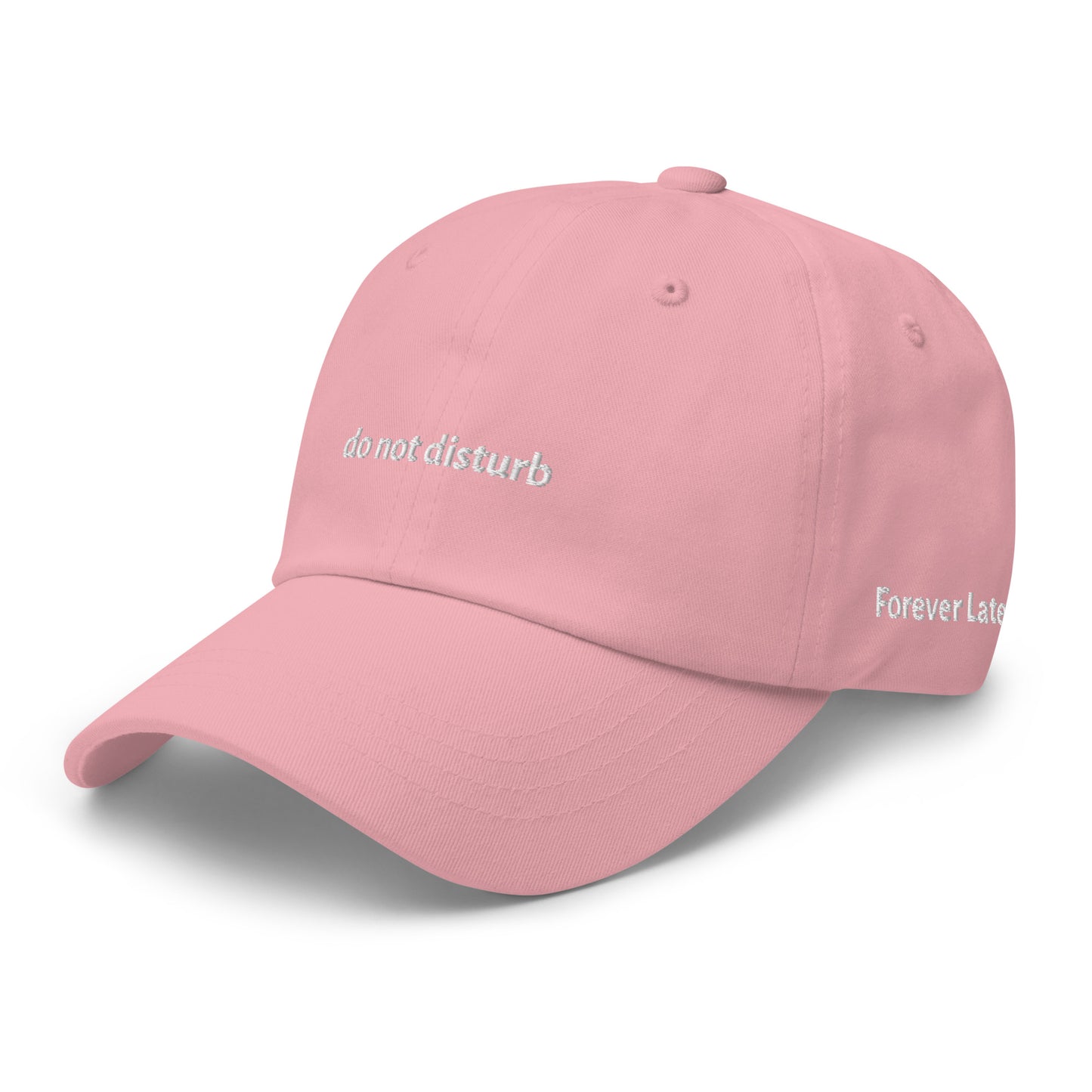 do not disturb Dad Hat