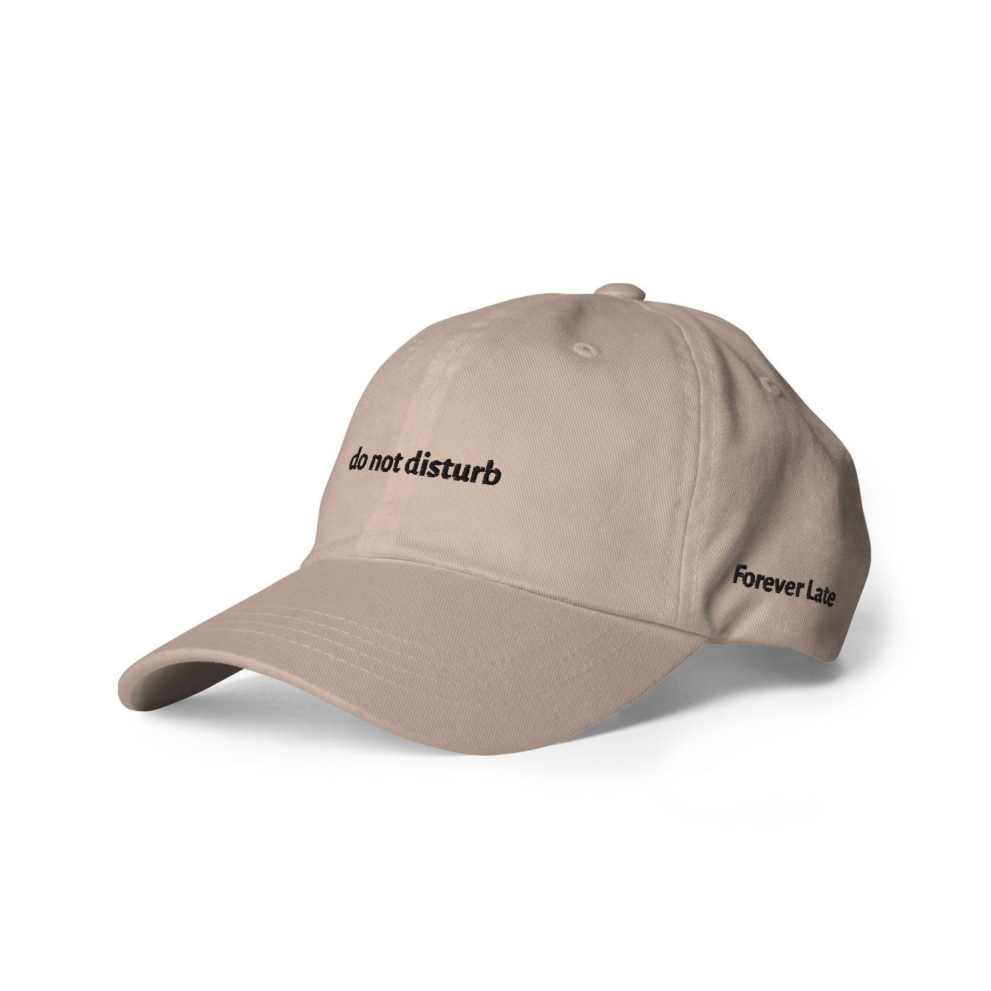 do not disturb Dad Hat