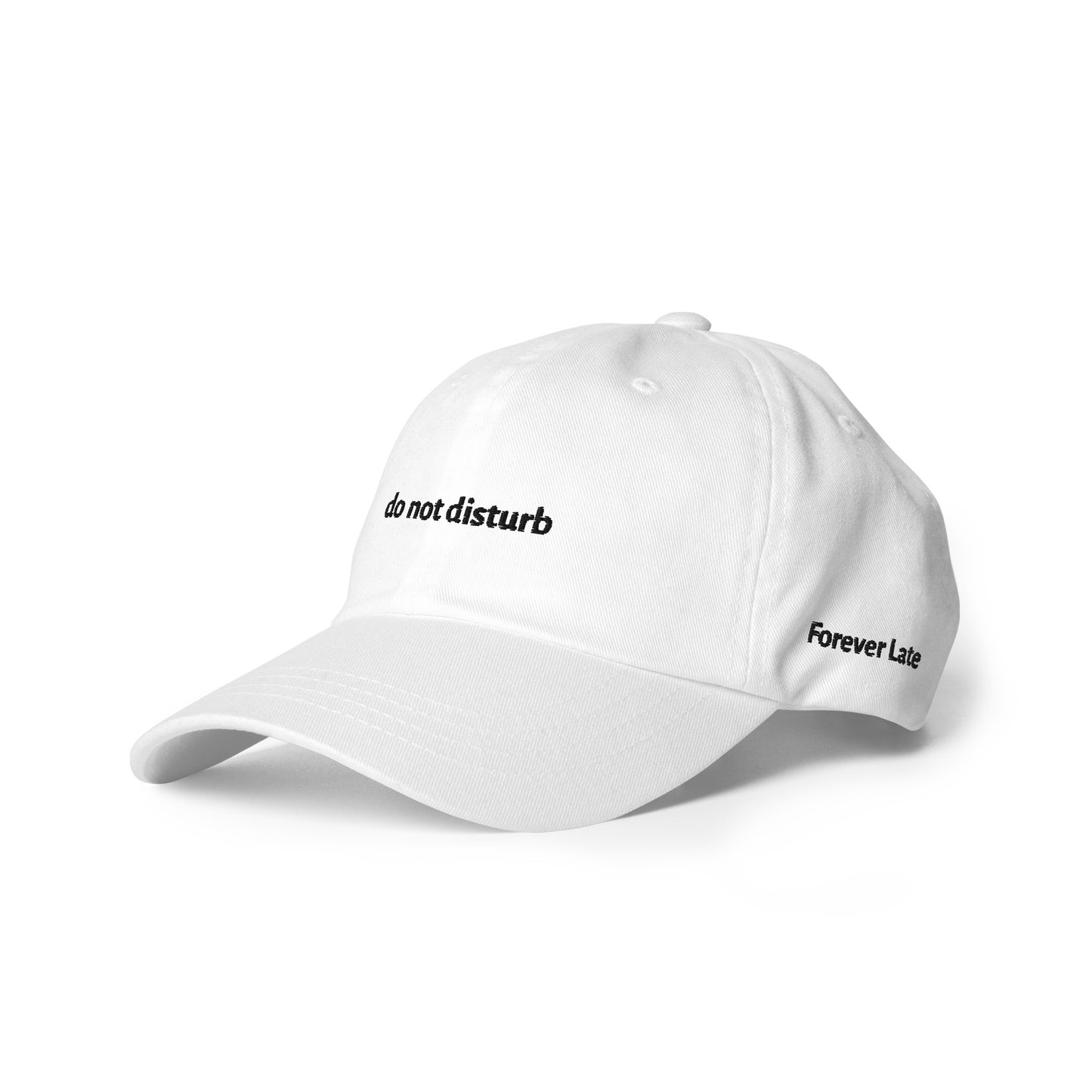 do not disturb Dad Hat