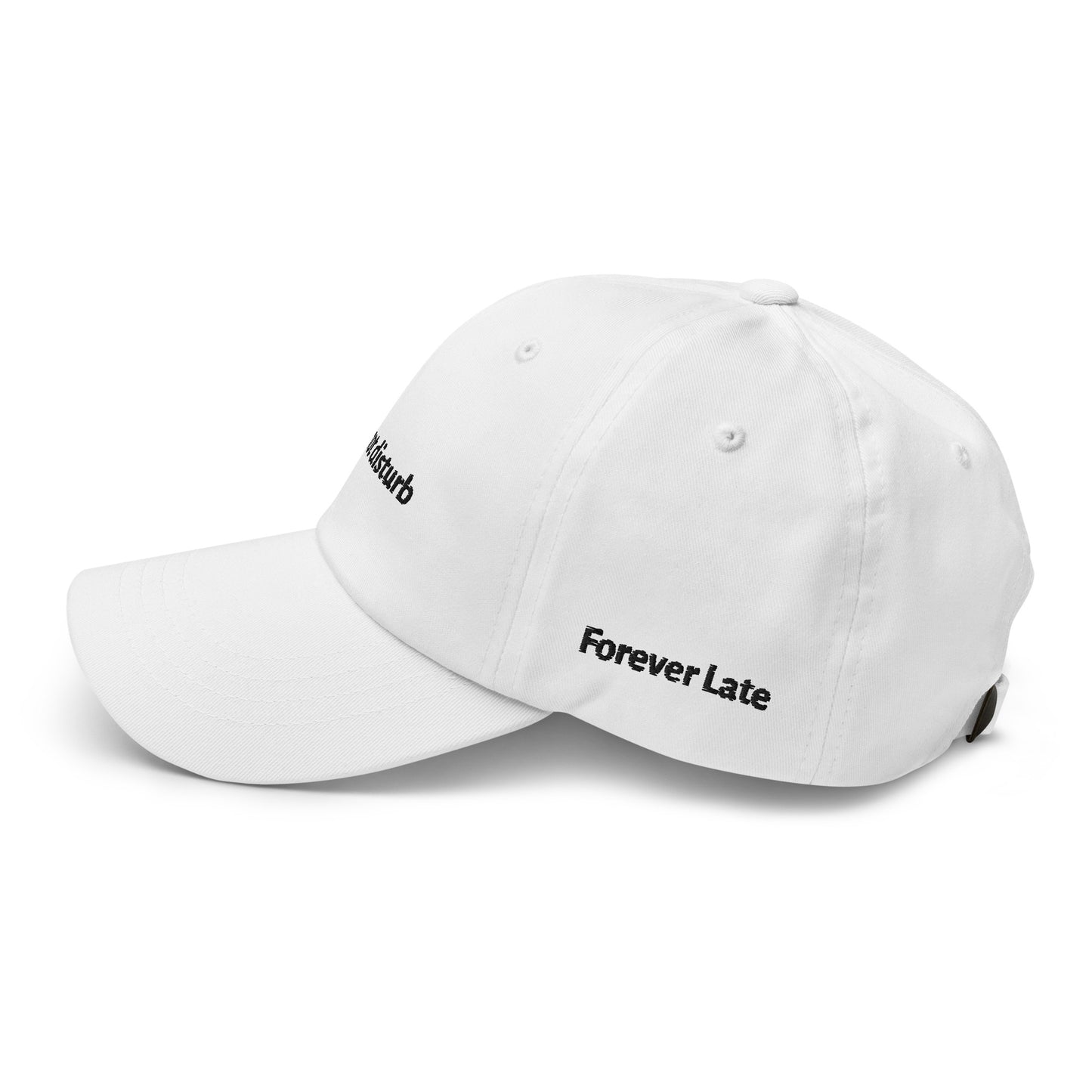 do not disturb Dad Hat