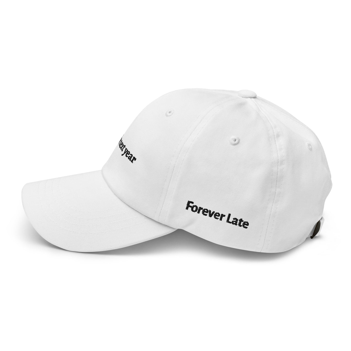 maybe next year Dad Hat